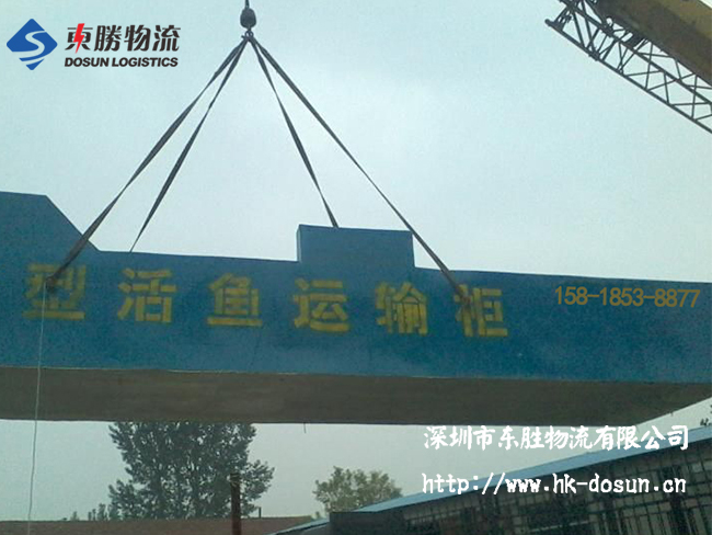 物流活體魚要注意哪些事項？該怎么運輸？深圳到香港物流,香港深圳貨運運輸,深圳香港進出口,深港物流專線,中港物流,東勝物流集團-大件物流到香港