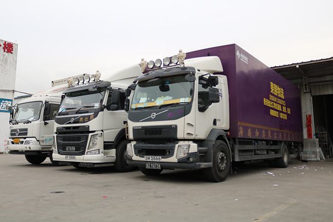 活物運(yùn)輸謹(jǐn)記這5項(xiàng)，讓你的生意越做越火！--深圳市東勝物流；深圳到香港物流,香港深圳貨運(yùn)運(yùn)輸,深圳香港進(jìn)出口,深港物流專線,中港物流,東勝物流集團(tuán)