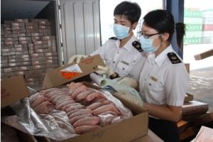 深圳凍肉進口報關公司；深圳到香港物流-深圳東勝物流